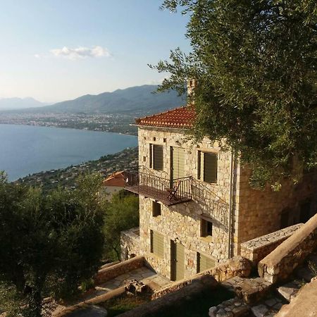 Diotima Homes カラマタ エクステリア 写真